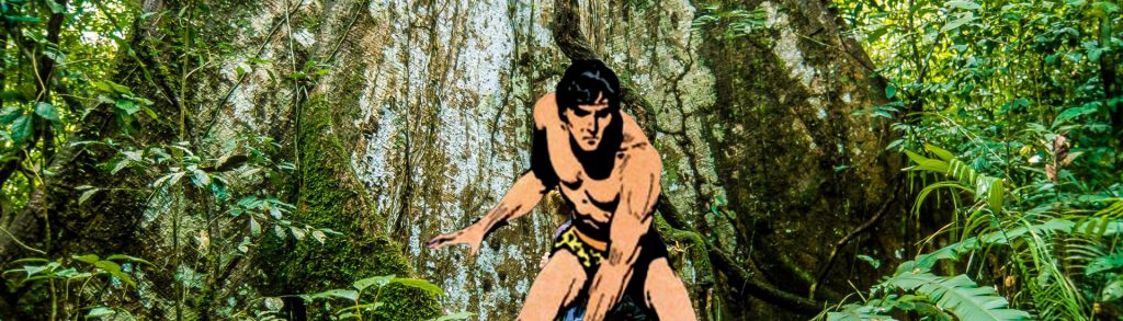 Tarzan im Dschungel