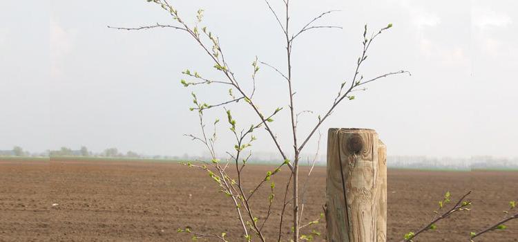 Leute, der Frühling kündigt sich an!