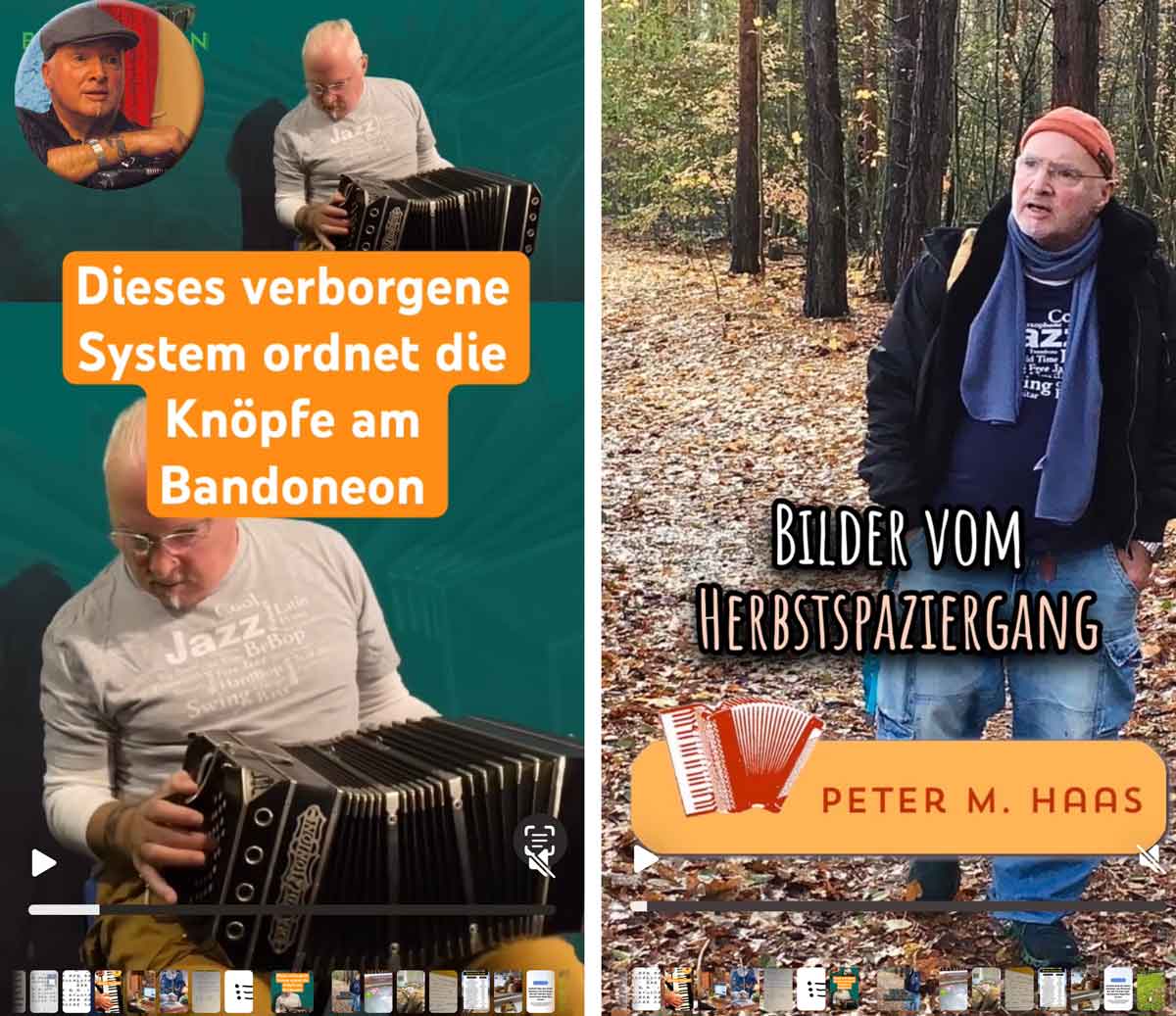 Thumbnails der Posts von Peter Michael Haas auf YouTube und Facebook