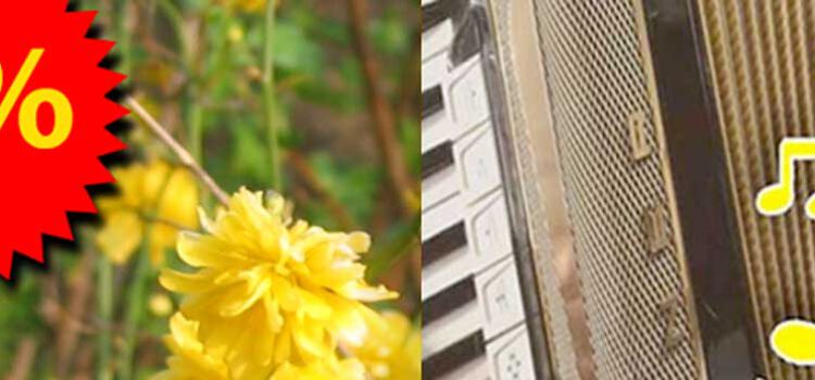 In diesem Rundbrief: “Endlich frei spielen auf dem Akkordeon“ – und ein Bossa Nova Notenblatt zum freien Download